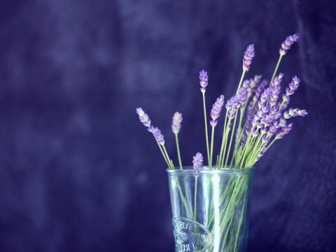 Glass of Lavender